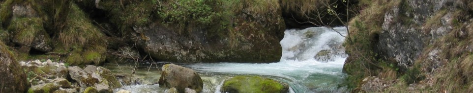 Cascate della Val Civetta - Lastebasse
